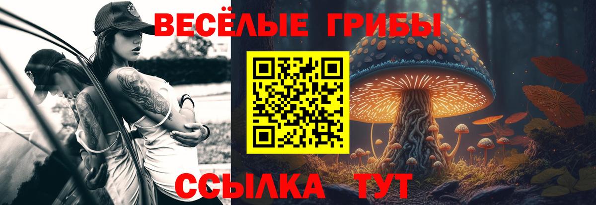 Галлюциногенные грибы Cubensis Добрянка